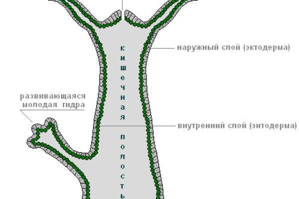 Как положить деньги на кракен